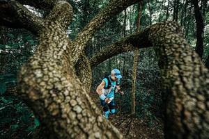 BIB: 
                            <button type="button" onclick="openModal(25393073)" class="btn btn-primary btn-sm float-right btn-popup" data-toggle="modal" data-target=".modal-high-quality">
                        <i class="fas fa-shopping-cart"></i> Add to Cart
                    </button>
                                            <button type="button" onclick="isThisMe(25393073, true)" class="btn btn-success btn-sm float-right btn-popup btn-isme hidden" data-toggle="tooltip" data-placement="bottom" title="นี่คือรูปของคุณใช่ไหม คลิกที่นี่เพื่อเอาเข้าอัลบั้ม">
                        <i class="fas fa-plus"></i> Add to album
                    </button>
                    <button type="button" onclick="isThisMe(25393073, false)" class="btn btn-warning btn-sm float-right btn-popup btn-isnotme hidden">
                        <i class="fas fa-ban"></i> Remove from album
                    </button>